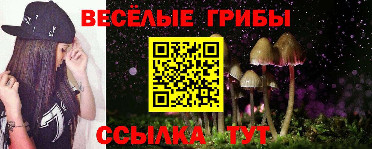 наркошоп  Галлюциногенные грибы Magic Shrooms  Вход с VPN  Иркутск 